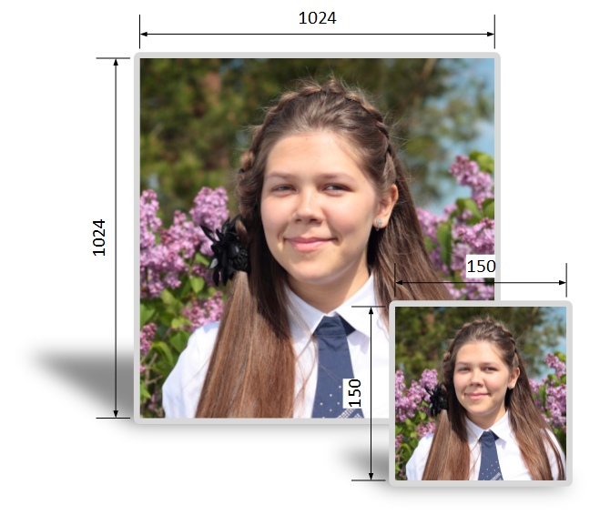 Программа для быстрого изменения размеров фото Программа для быстрого изменения размеров фото