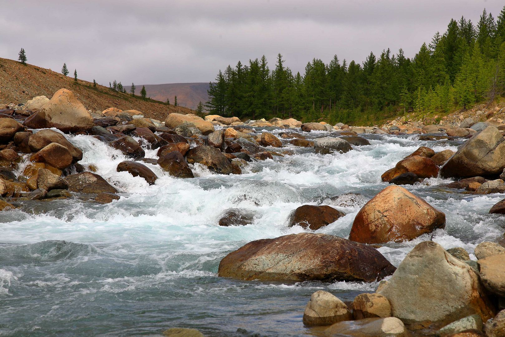 Путоранцы.NET Путоранцы.NET